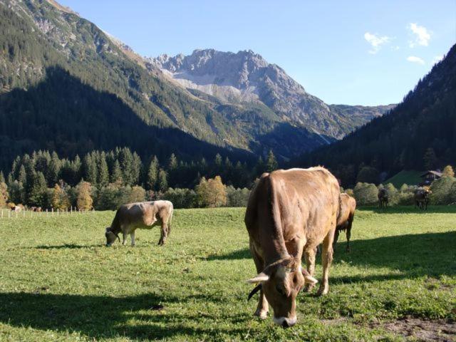 Walliser Stube Lejlighedshotel Mittelberg Eksteriør billede